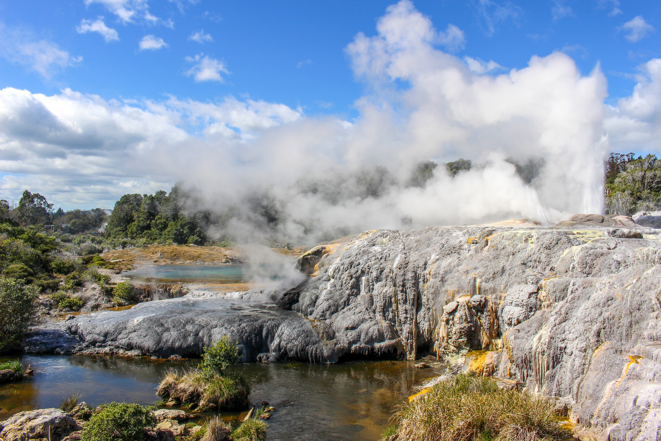 NEW ZEALAND – Điểm đến của TOUR OF THE YEAR 2026